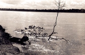 Um entardecer no Rio Doce, ES, abril de 1950.
