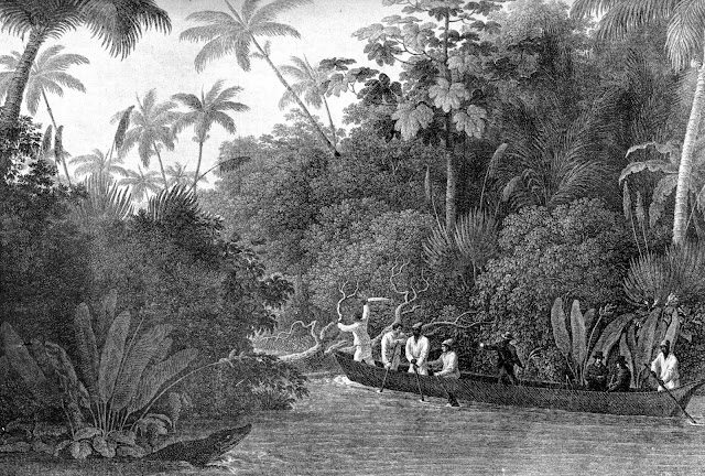 Viagem por um braço do rio Doce [in Wied-Neuwied, Maximiliano, Viagem ao Brasil, p.155].
